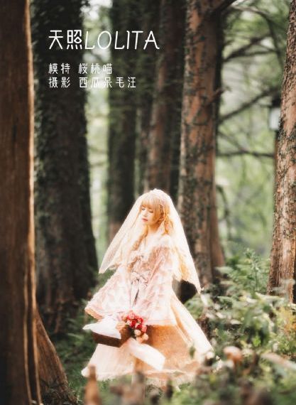 《乡村爱情8》电视剧_国产剧动漫在线观看